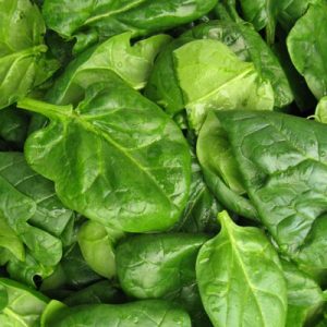 Enthält Pyrrolochinolinchinon (PQQ): Spinat, Bohnen, Sellerie, Kiwis, Petersilie, Kartoffeln und Muttermilch