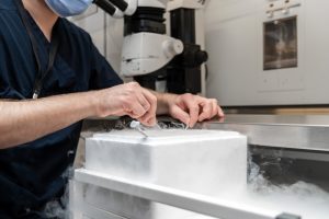 Ein neuartiges Screening-System ermöglicht es Forschern, die Entwicklung und Gesundheit von Samenzellen auf molekularer Ebene zu untersuchen