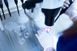 Transfer mit gefrorenen Embryos wirkt sich nicht auf die Stoffwechselgesundheit des Kindes aus 1
