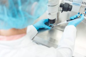 Die Kommunikation zwischen Körpermuskulatur und Gehirn beeinflusst die Fruchtbarkeit 1