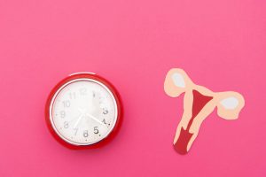 Forscher entschlüsseln den Zeitpunkt der Menopause und werfen ein Licht auf die Alterung der Eierstöcke und die Fruchtbarkeit 1