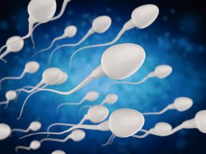 Forschungen zeigen, dass die Einnahme von Antidepressiva bei Männern keinen negativen Einfluss auf den Erfolg einer IVF hat 1